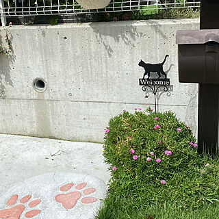 猫雑貨/玄関/入り口のインテリア実例 - 2022-09-06 11:19:39