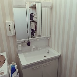 洗面空間/TOTO/バス/トイレのインテリア実例 - 2024-03-16 08:27:20