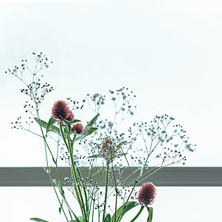 リサイクル/Upcycled Flower Vase/一輪挿し/リビングのインテリア実例 - 2024-06-23 20:26:32