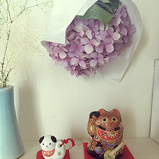 紫陽花のおまじないのインテリア実例 Roomclip ルームクリップ