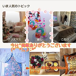 部屋全体/お気に入り/癒し/クリスマス/RCの出会いに感謝♡...などのインテリア実例 - 2023-11-26 09:33:09