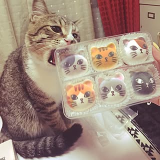 机/洋菓子/インテリアじゃなくてごめんなさい/猫と暮らす/猫と生活雑貨のインテリア実例 - 2017-02-28 22:06:34