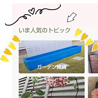 部屋全体/いまトピ掲載ありがとうございます♡/見てくれてありがとう♡/いいね、コメント ありがとうございます♡/RCの皆さまに感謝♡...などのインテリア実例 - 2022-06-16 13:16:13