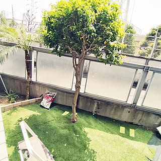 部屋全体/庭/多肉植物/観葉植物/ガーデニング...などのインテリア実例 - 2021-05-05 12:35:34