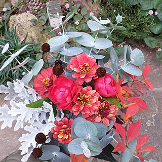 机/花が好き/植物が好き/赤色が上手く写せない/晩秋...などのインテリア実例 - 2017-11-28 17:23:05
