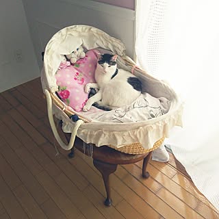 ベッド周り/ねこばかりですいません/猫のための家/猫脚家具/ポテ猫部入部希望...などのインテリア実例 - 2016-05-14 08:49:50