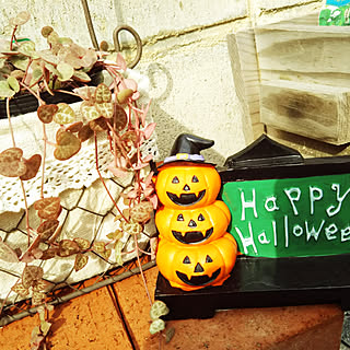 棚/Halloween飾り/Daiso/ハーブのある暮らし/ハートカズラ...などのインテリア実例 - 2018-09-20 12:29:38