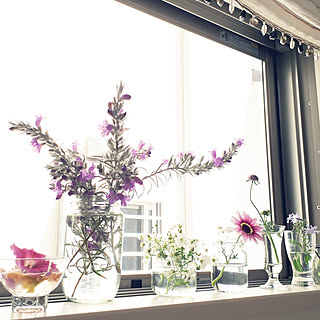 壁/天井/植物のある暮らし/お花大好き♡/紫のお花のインテリア実例 - 2018-05-05 12:48:08