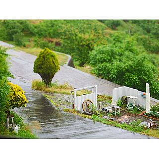 ベッド周り/植物/花のある暮らし/庭づくり/今日の1枚...などのインテリア実例 - 2016-06-13 08:03:15