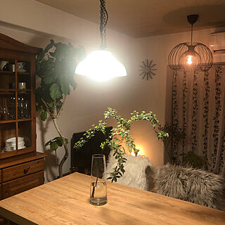 Francfranc (フランフラン)/IKEA/インドアグリーン/blossom/観葉植物...などのインテリア実例 - 2023-02-01 21:49:23