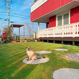 芝生の庭/輸入住宅/北欧住宅 /赤い家/北欧...などのインテリア実例 - 2020-11-17 01:34:56