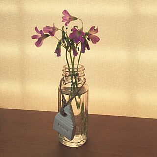机/紙粘土のおうち/空き瓶 再利用/雑草の花/クローバーの花のインテリア実例 - 2017-05-21 15:24:32