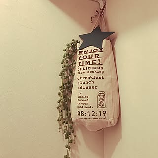 バス/トイレ/植物のある暮らし/ミニ模様替え/雑貨/フェイクグリーン...などのインテリア実例 - 2017-06-17 21:56:05