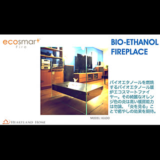 耐震自動消火装置/igloo/ecosmartfire/バイオエタノール暖炉/部屋全体...などのインテリア実例 - 2020-04-06 17:46:51