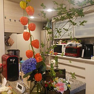 キッチン/楽天で買ったもの/お花を飾る/雑貨/パモウナ食器棚...などのインテリア実例 - 2017-07-11 20:03:35