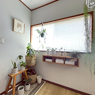 DIY中/100均植物/100均/マスク収納/無印良品...などのインテリア実例 - 2023-05-24 11:35:35