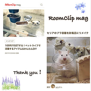 seria/RoomClip mag/掲載ありがとうございます♡/ハムスター飼ってます◡̈♥︎/100均...などのインテリア実例 - 2021-10-30 21:14:59