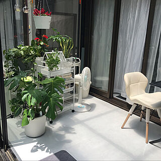 観葉植物/IKEA/夏/サンルーム/東京インテリア...などのインテリア実例 - 2021-06-05 11:45:41