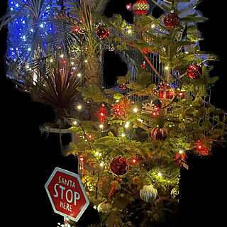 christmas tree/holiday tree/クリスマスツリー/クリスマス/玄関/入り口のインテリア実例 - 2022-12-20 18:55:26