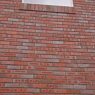 壁/天井/レンガ/レンガの家/レンガの外壁のインテリア実例 - 2020-03-04 13:50:10