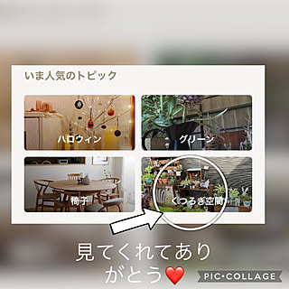 記録用pic/RCの出会いに感謝♡/DIY/ガーデニング/庭...などのインテリア実例 - 2022-09-29 00:43:50