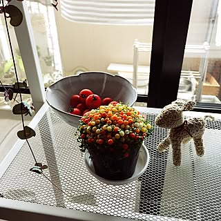 こけさんごのインテリア実例 Roomclip ルームクリップ