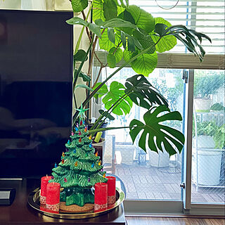 部屋全体/陶器のクリスマスツリー/クリスマスツリー/IKEA/クリスマス...などのインテリア実例 - 2023-11-25 12:23:47