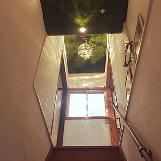 壁/天井/ガーデン風/芝生マット/階段の壁のインテリア実例 - 2016-10-09 01:07:34
