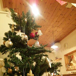 壁/天井/クリスマスツリー☆のインテリア実例 - 2013-11-20 23:10:34
