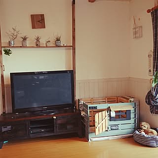 棚/ラブリコでDIY/セルフリノベーション✩*॰¨̮/漆喰/観葉植物のある部屋...などのインテリア実例 - 2017-05-01 16:14:18