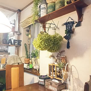 部屋全体/植物/あじさい/アナベルドライ中/ティッシュボックスDIY...などのインテリア実例 - 2017-07-14 23:14:14