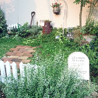 植物 カラミンサのおしゃれなアレンジ 飾り方のインテリア実例 Roomclip ルームクリップ 植物 カラミンサのおしゃれなアレンジ 飾り方のインテリア実例 Roomclip ルームクリップ