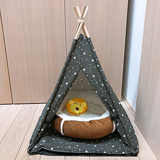 ペット用品/ペット用テント/ペットと暮らす家/Daiso/壁/天井のインテリア実例 - 2022-02-13 18:35:07