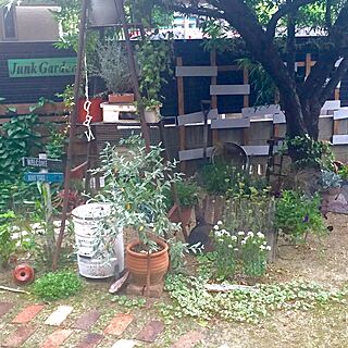 リビング/植物/お庭/ジャンクガーデン/小径...などのインテリア実例 - 2016-06-12 21:02:13