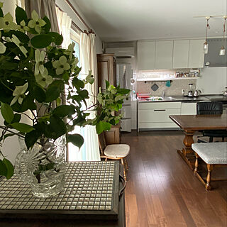 白/キッチン/お気に入りのカラー/食器棚/椅子...などのインテリア実例 - 2021-06-15 08:54:43
