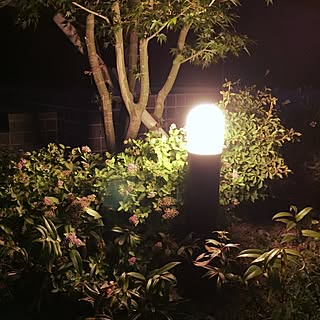 玄関/入り口/花壇/植物/夕涼みのインテリア実例 - 2017-06-16 22:35:31