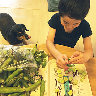 食育/麿はどうしても食べたい/三男くん楽しくお手伝い/茹でなくては/ゆとり時間...などのインテリア実例 - 2019-06-03 18:32:03