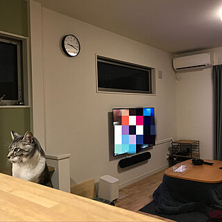 こたつのある部屋/壁掛けテレビ/猫と暮らす/猫がいる生活/リビングのインテリア実例 - 2020-02-23 21:33:37
