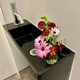 トイレの手洗いシンク/春の花/庭の花/バス/トイレのインテリア実例 - 2022-04-23 19:18:33