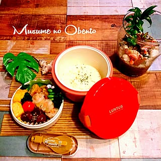 キッチン/賃貸でも楽しく♪/いいね、フォロー本当に感謝です♡/テラリウム/お弁当...などのインテリア実例 - 2017-04-21 06:40:45