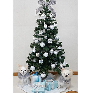 リビング/クリスマスツリー120cm/クリスマスツリー/ペットのいる暮らしのインテリア実例 - 2022-12-07 00:12:42