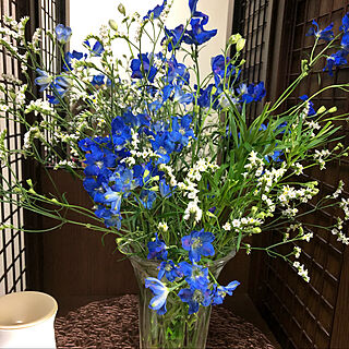白い花/青い花/棚のインテリア実例 - 2020-06-15 18:20:39
