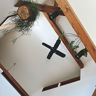 FREEQ HOMES/Loafer/ロフトのある家/観葉植物/壁/天井のインテリア実例 - 2022-04-01 10:13:00