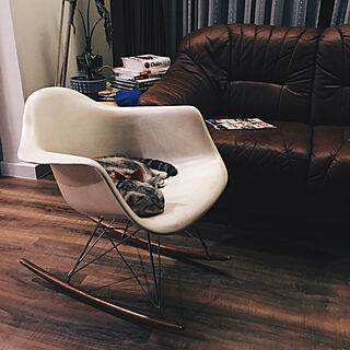 Eames Chair/eames rar chair/skalma/リビングのインテリア実例 - 2019-04-15 02:49:16