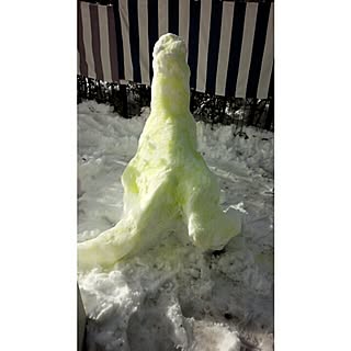 部屋全体/庭の雪独り占め/雪/作ったのは大人/約150センチ...などのインテリア実例 - 2014-02-09 08:31:22