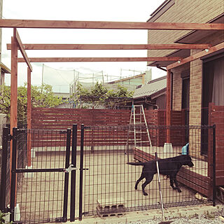 フェンス/屋根/ドッグラン/庭/DIY...などのインテリア実例 - 2020-05-10 11:15:08