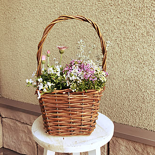 お花が好き/寄せ植え初チャレンジ/寄せ植え初心者/玄関/入り口/お花の記録のインテリア実例 - 2020-03-23 04:53:59