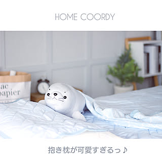 DIY/観葉植物/HOME COORDY/無印良品/セルフリフォーム...などのインテリア実例 - 2019-06-02 20:49:33