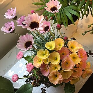 棚/プリムラ/2017.3.30/寄せ植え/花のある暮らし...などのインテリア実例 - 2017-03-30 07:32:24