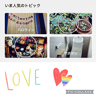 love1017さんお知らせありがとう♡/多肉植物/60トピ目指します❗️/RCの出会いに感謝♡/いつも見てくれてありがとう♥︎...などのインテリア実例 - 2022-09-13 10:30:29